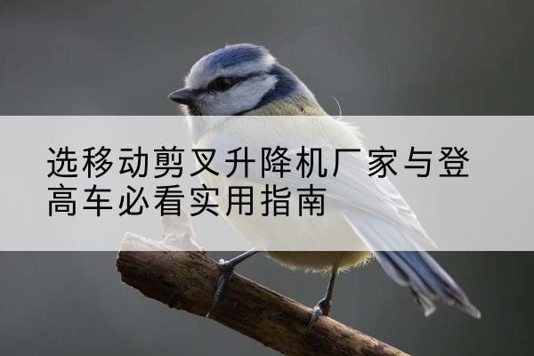 临夏电动升降机厂家-选移动剪叉升降机厂家与登高车必看实用指南