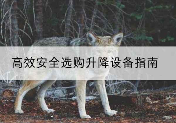 临夏升降货梯厂家推荐-*安全选购升降设备指南