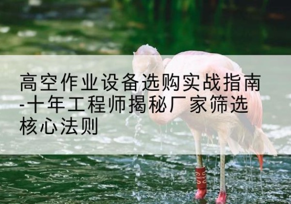 临夏剪叉式升降机厂家-高空作业设备选购实战指南-十年工程师揭秘厂家筛选核心法则